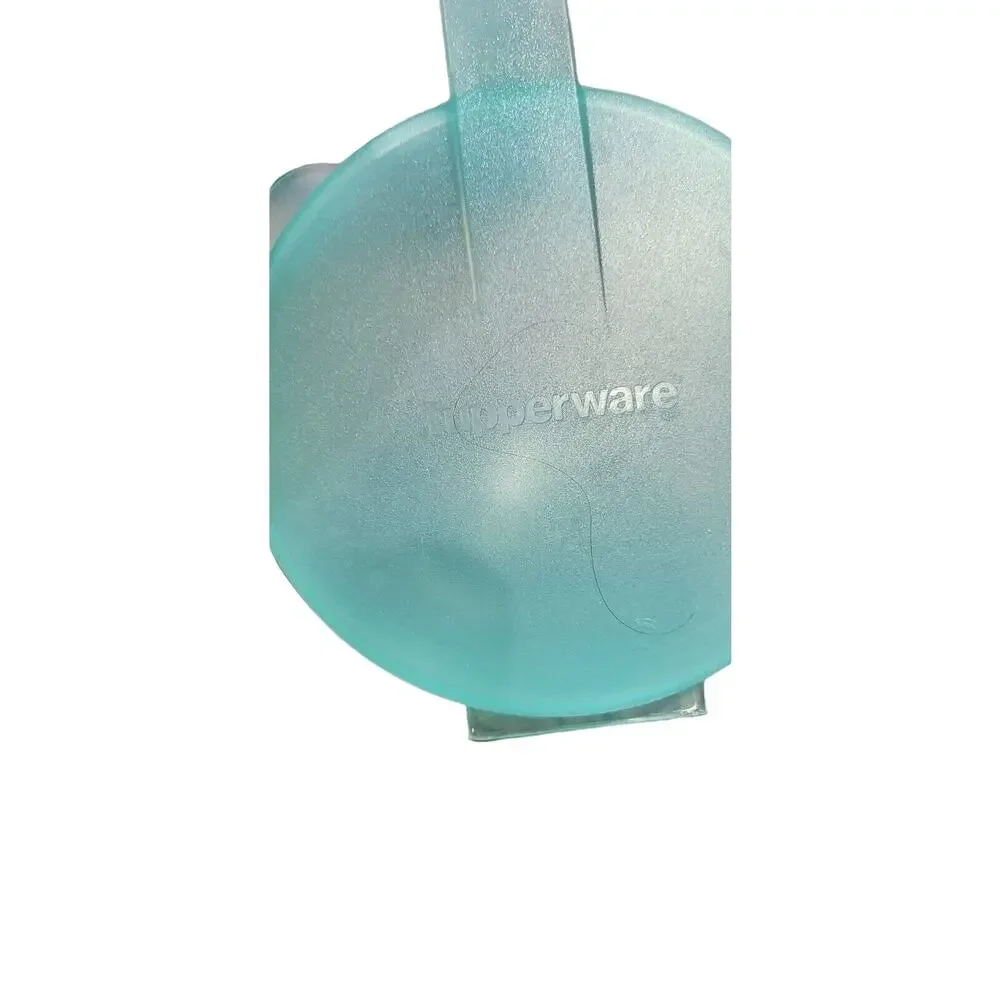 Tupperware Forget Me Not Large Hanging Tomato Onion Keeper Aqua #4201